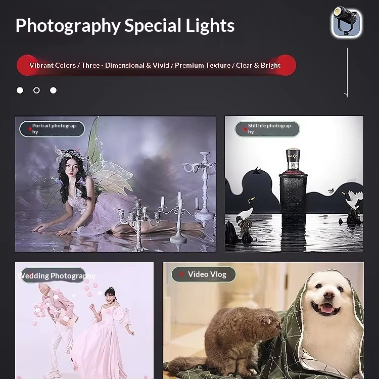 Professional 500W AC Powered L - Photography Lighting For Food ulasan dan harga