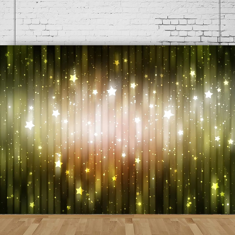 Shiny Glitter Photography Back - Photography Lighting For Portraits ulasan dan harga
